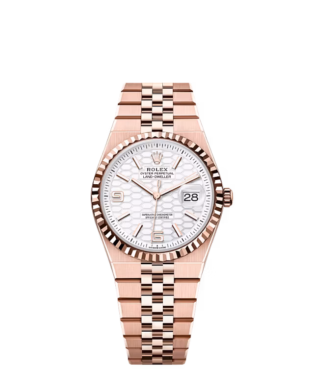 Rolex Land-Dweller 36 M127235-0001 Everose Gold White Lacquer Dial Roman Numerals Jubilee Bracelet