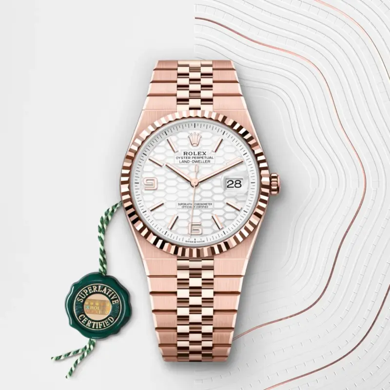 Rolex Land-Dweller 40mm 18 kt Everose gold, M127335-0001 - Image 3