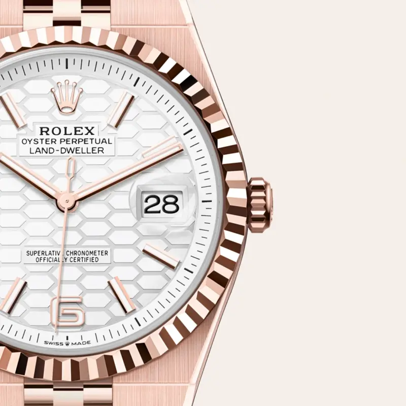Rolex Land-Dweller 40mm 18 kt Everose gold, M127335-0001 - Image 4