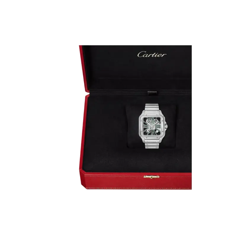 Santos de Cartier Large Skeleton/Green - Image 6