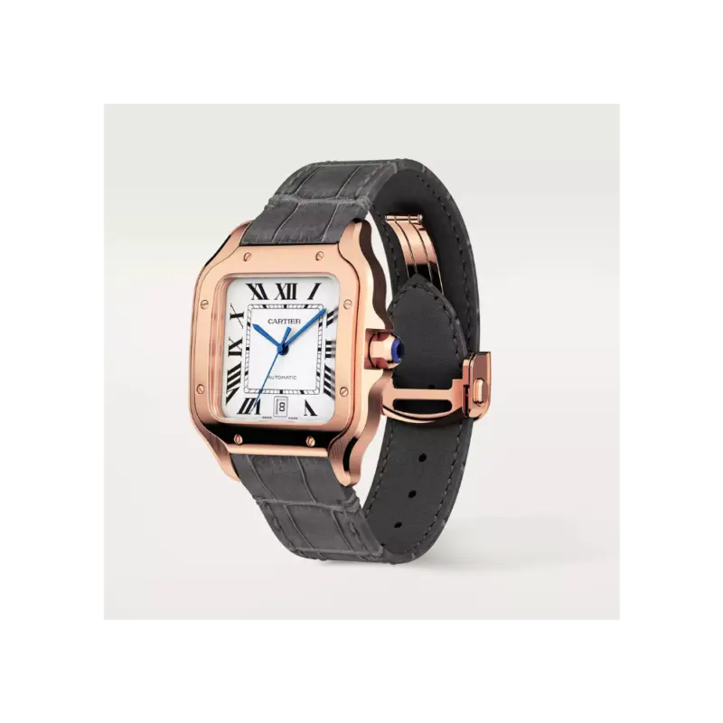 Cartier Santos de Cartier Large Automatic - Image 2
