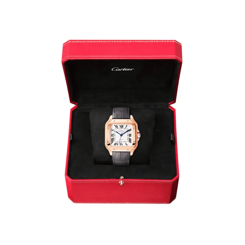 Cartier Santos de Cartier Large Automatic - Image 6