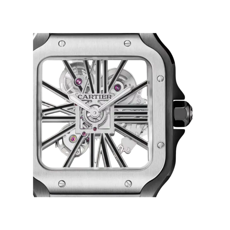 Santos de Cartier Large Skeleton ADLC - Image 2