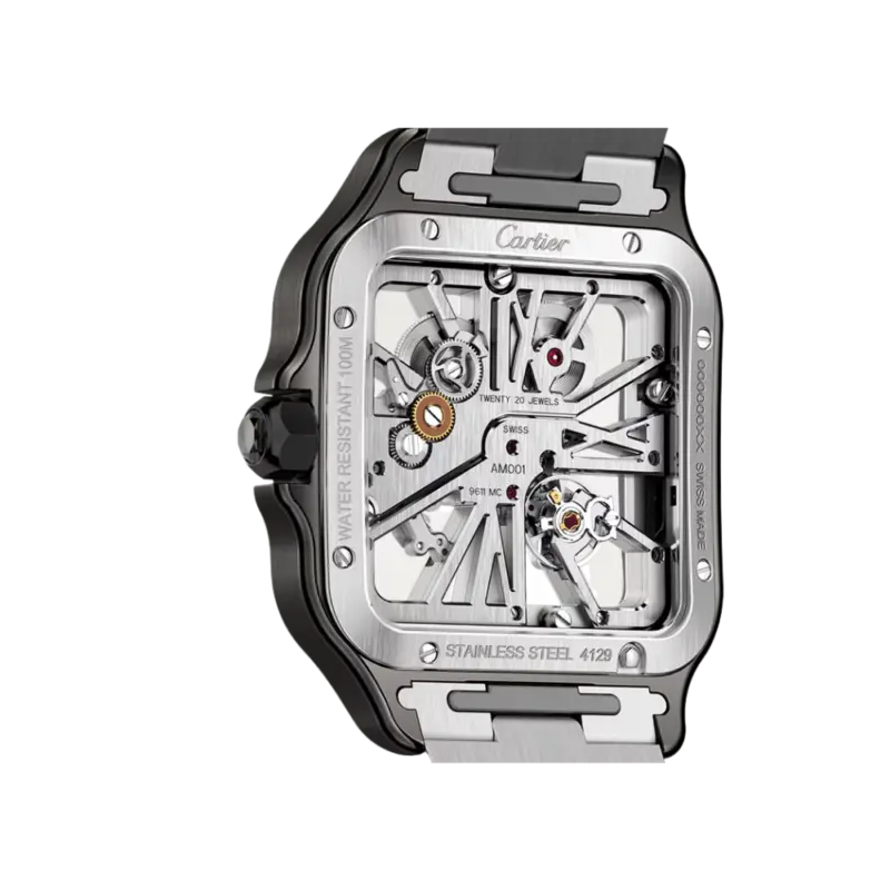 Santos de Cartier Large Skeleton ADLC - Image 3