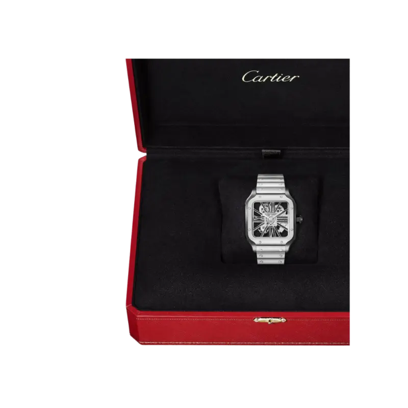 Santos de Cartier Large Skeleton ADLC - Image 7
